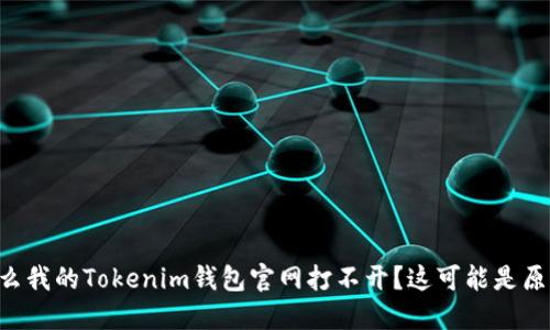 为什么我的Tokenim钱包官网打不开？这可能是原因哦！