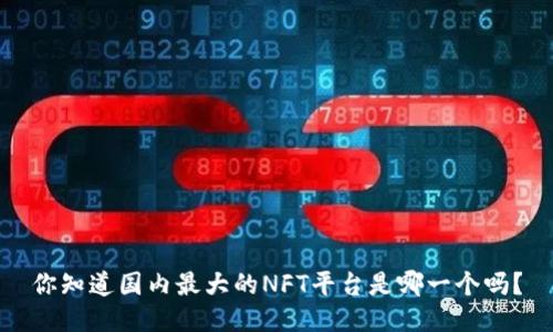 你知道国内最大的NFT平台是哪一个吗？