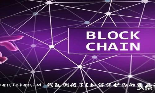 “你的 TokenTokenIM 钱包倒闭了？如何保护你的资产不受损失！”