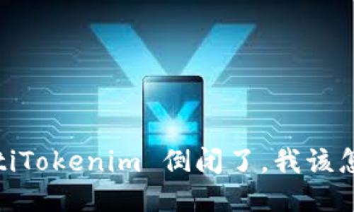 bianotiTokenim 倒闭了，我该怎么办？