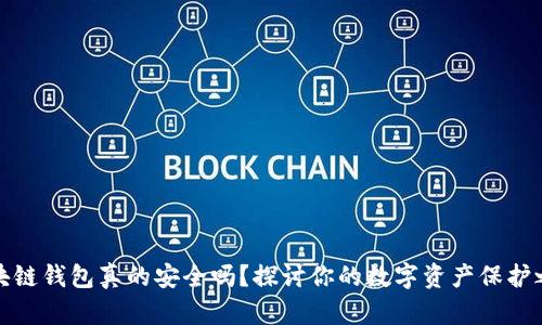 区块链钱包真的安全吗？探讨你的数字资产保护之道