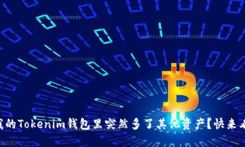 为什么我的Tokenim钱包里突然多了其他资产？快来看看原因！