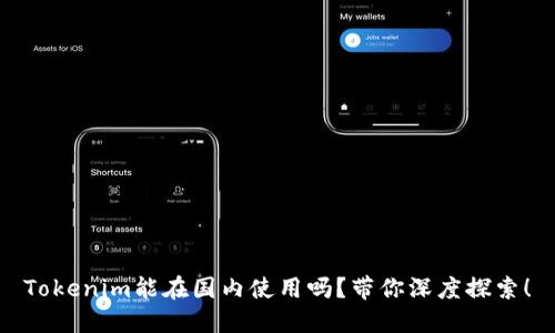 Tokenim能在国内使用吗？带你深度探索！