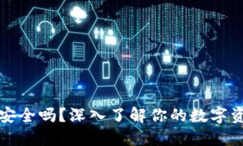 虚拟币钱包安全吗？深入了解你的数字资产保护策略