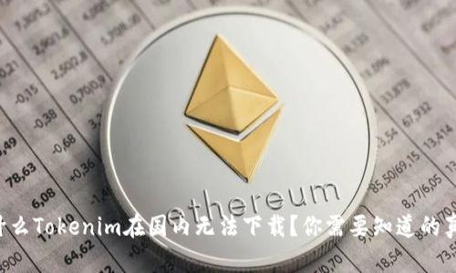 为什么Tokenim在国内无法下载？你需要知道的真相！