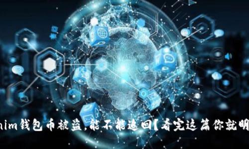 Tokenim钱包币被盗，能不能追回？看完这篇你就明白了！