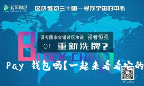 你了解 Binance Pay 钱包吗？一起来看看它的优势与使用技巧！