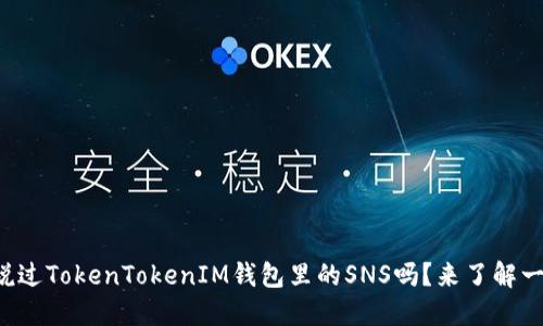 你听说过TokenTokenIM钱包里的SNS吗？来了解一下吧！
