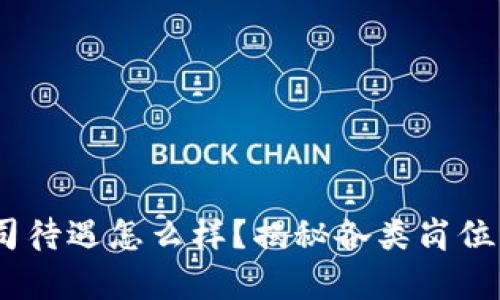 Tokenim公司待遇怎么样？揭秘各类岗位薪资与福利！