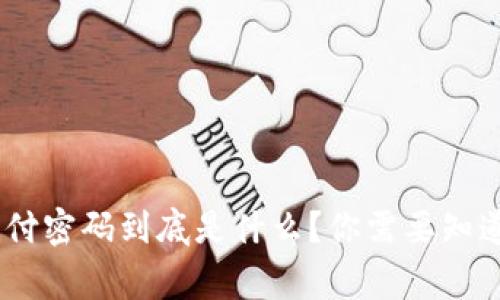 Tokenim支付密码到底是什么？你需要知道的那些事！