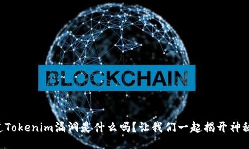 “你知道Tokenim漏洞是什么吗？让我们一起揭开神秘面纱！”