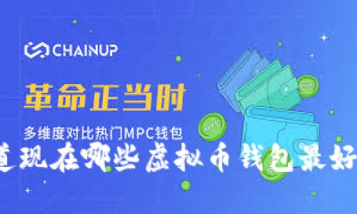 你知道现在哪些虚拟币钱包最好用吗？