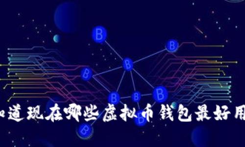 你知道现在哪些虚拟币钱包最好用吗？