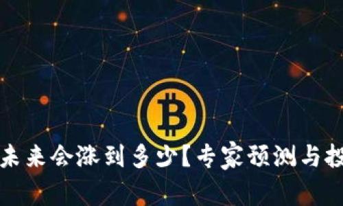 狗狗币未来会涨到多少？专家预测与投资建议