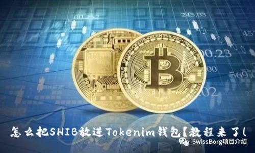 怎么把SHIB放进Tokenim钱包？教程来了！