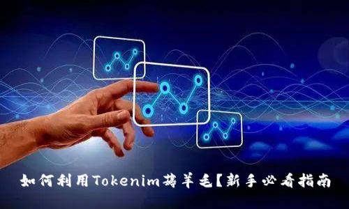 如何利用Tokenim薅羊毛？新手必看指南