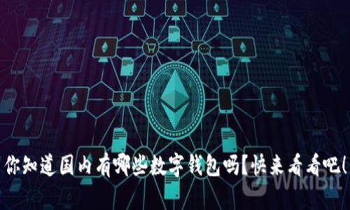 你知道国内有哪些数字钱包吗？快来看看吧！