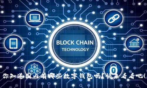 你知道国内有哪些数字钱包吗？快来看看吧！