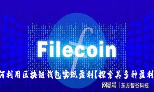 如何利用区块链钱包实现盈利？探索其多种盈利点！