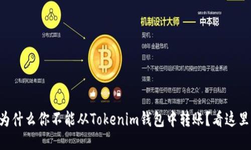 为什么你不能从Tokenim钱包中转账？看这里！