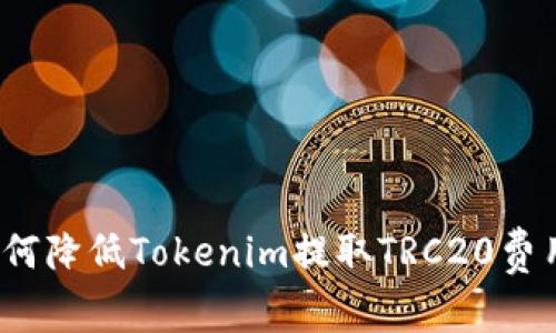 如何降低Tokenim提取TRC20费用？