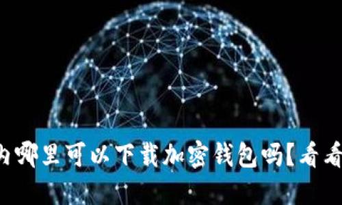 想知道国内哪里可以下载加密钱包吗？看看这些推荐！