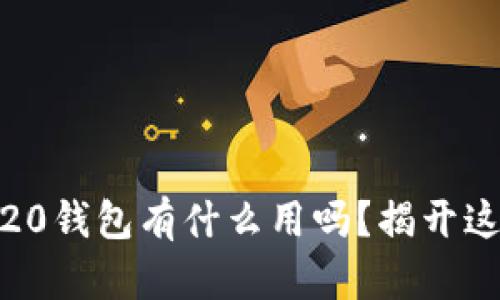 你知道ERC-20钱包有什么用吗？揭开这背后的秘密！