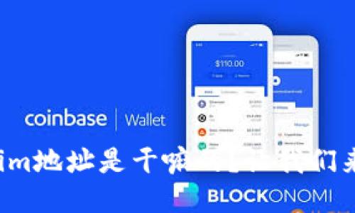 Tokenim地址是干嘛的？让我们来聊聊！