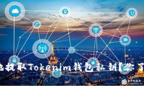 如何安全地提取Tokenim钱包私钥？你了解靠谱吗？