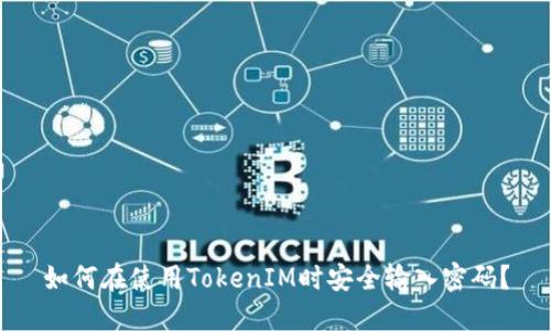 如何在使用TokenIM时安全输入密码？