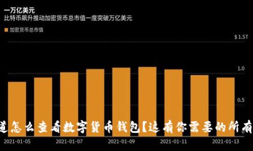 想知道怎么查看数字货币钱包？这有你需要的所有信息！