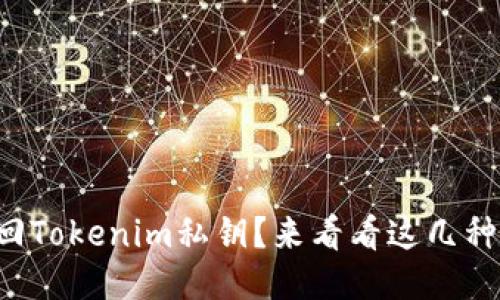 如何找回Tokenim私钥？来看看这几种方法吧！