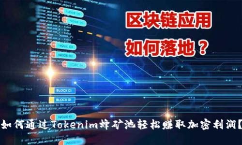 如何通过Tokenim蜂矿池轻松赚取加密利润？