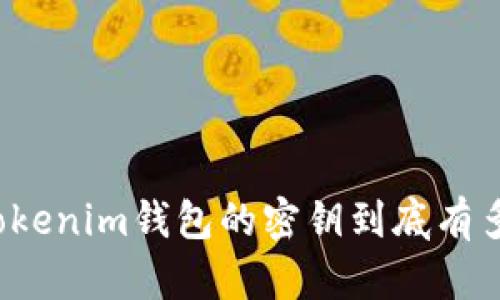 你知道Tokenim钱包的密钥到底有多少位吗？