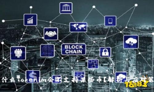 为什么Tokenim会不支持某些币？解析与应对策略