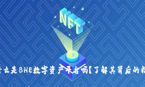 你知道什么是BHE数字资产平台吗？了解其背后的精彩故事！