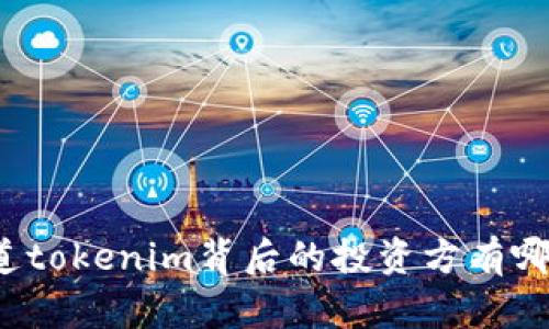 你知道tokenim背后的投资方有哪些吗？