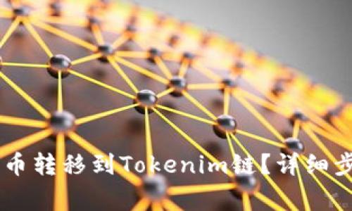 如何将SHIB货币转移到Tokenim链？详细步骤和注意事项