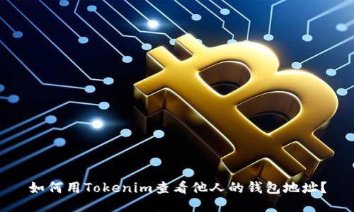 如何用Tokenim查看他人的钱包地址？