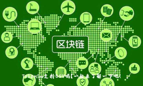 Tokenim支持BSV吗？一起来了解一下吧！