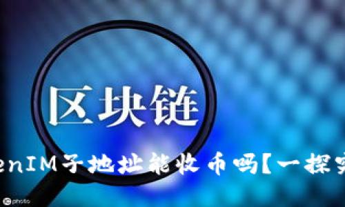 TokenIM子地址能收币吗？一探究竟！