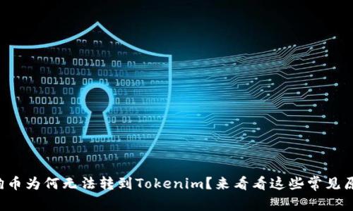 狗狗币为何无法转到Tokenim？来看看这些常见原因！