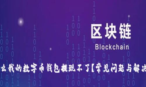 为什么我的数字币钱包提现不了？常见问题与解决方案