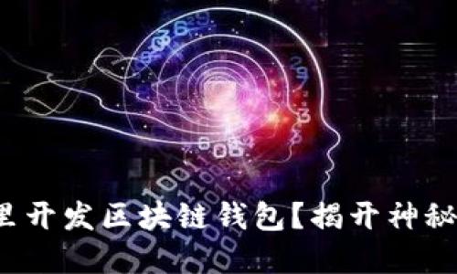 在哪里开发区块链钱包？揭开神秘面纱！