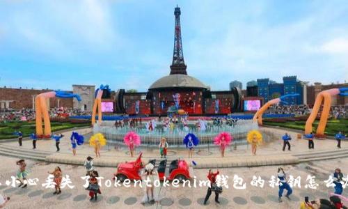 不小心丢失了Tokentokenim钱包的私钥怎么办？