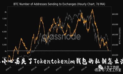 不小心丢失了Tokentokenim钱包的私钥怎么办？