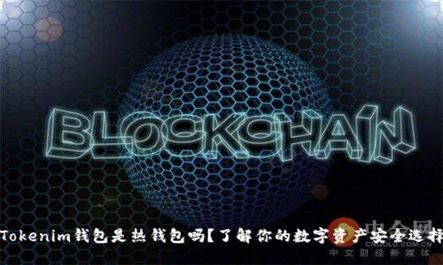 Tokenim钱包是热钱包吗？了解你的数字资产安全选择