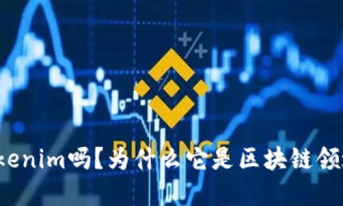 你听说过Tokenim吗？为什么它是区块链领域的潜力股？