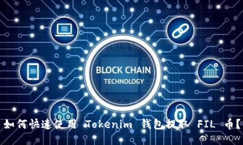 如何快速使用 Tokenim 钱包提取 FIL 币?