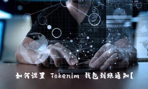 如何设置 Tokenim 钱包到账通知？